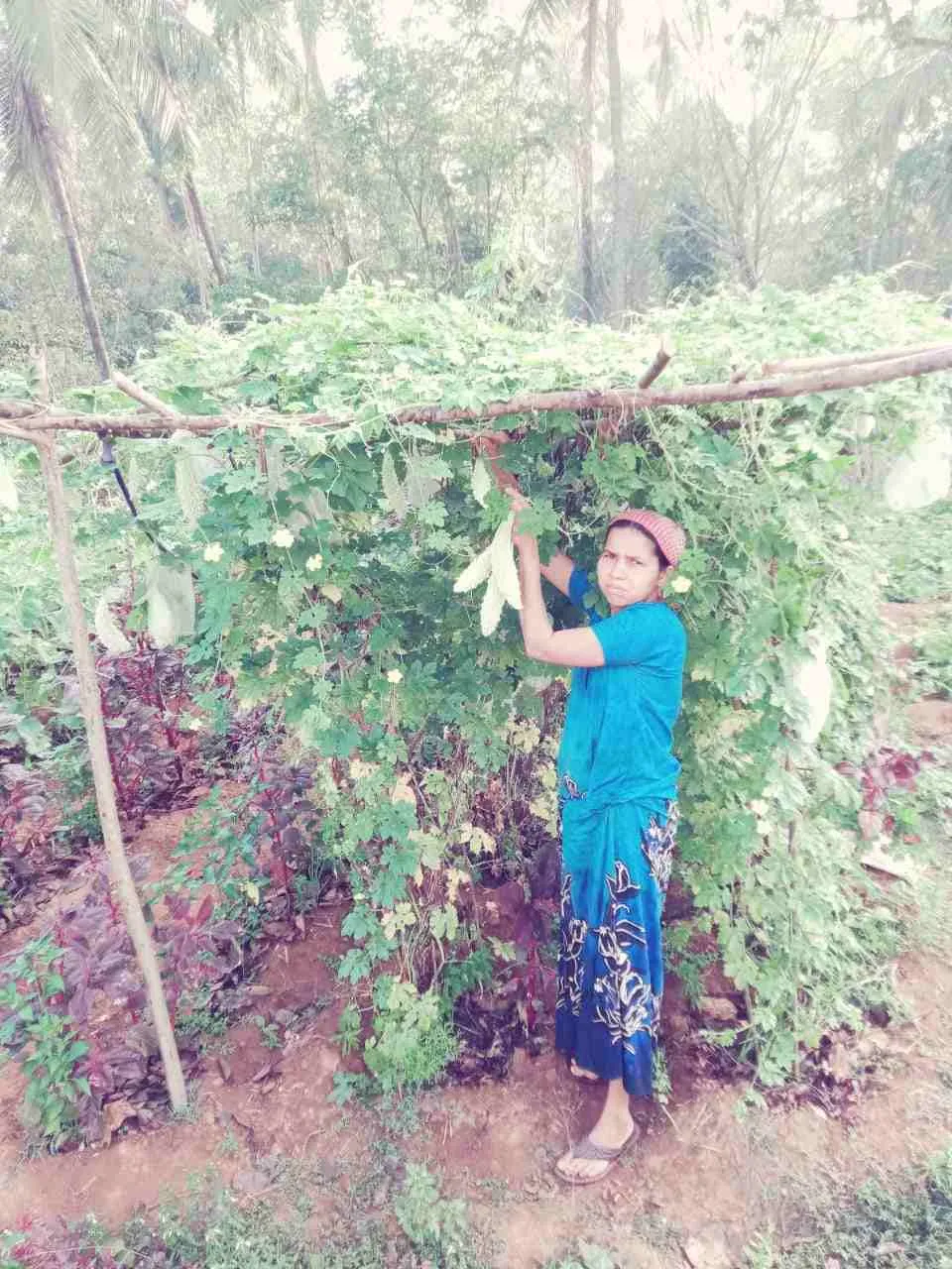 Kerala Homemaker Turned Entrepreneur 