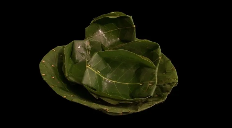 #DIY Sal Leaves Crockery