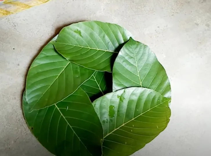 #DIY Sal Leaves Crockery