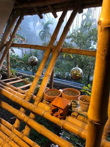 Mud house
