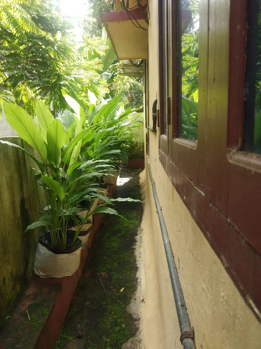 Grow Bags For Plants
