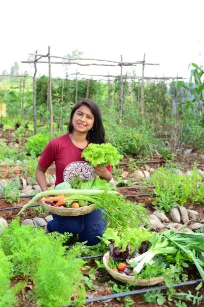 Organic Veggies Business