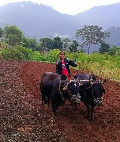 uttarakhand girl farming