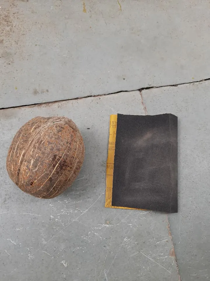 Grow Coconut Plant