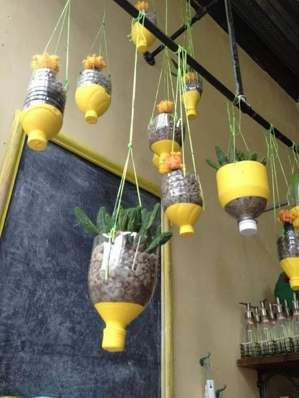 DIY Vertical Garden
