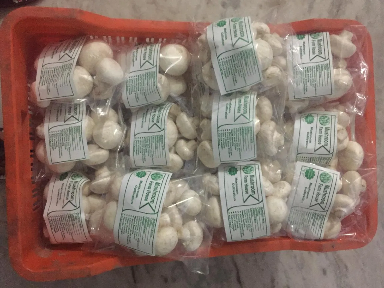 Mashroom Farming