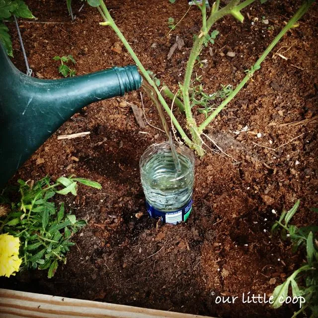 #DIY Drip Irrigation System