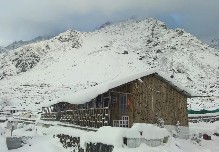 bamboo home badrinath