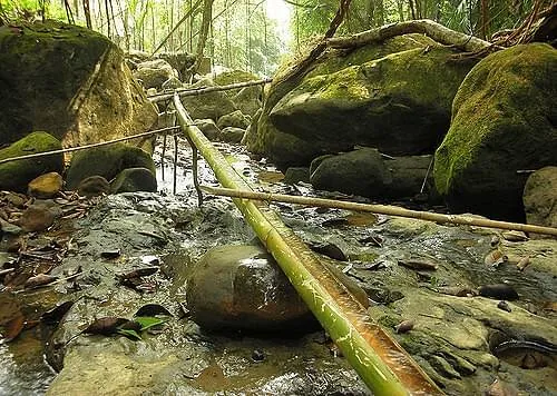 How to use Bamboo