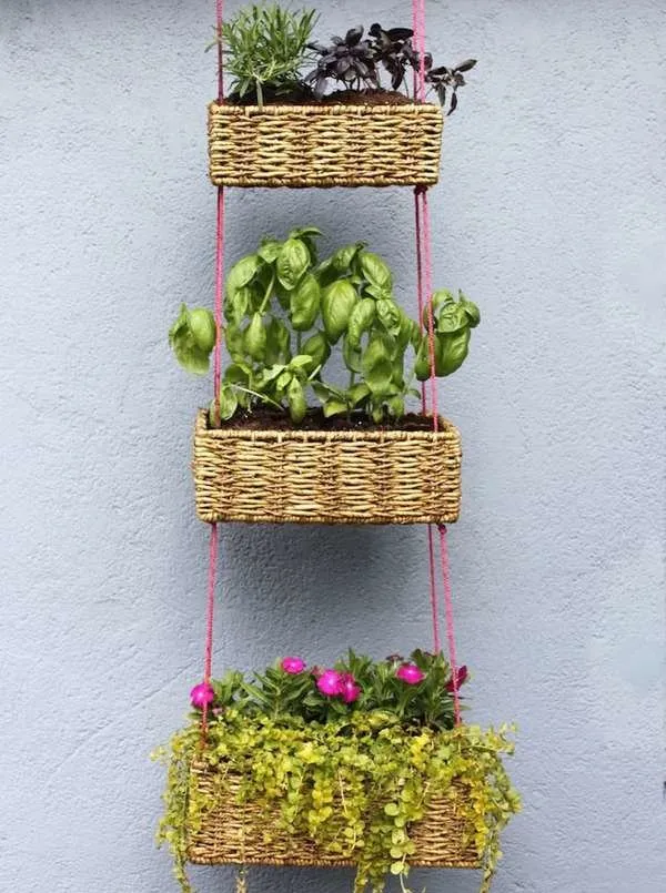 DIY Vertical Garden