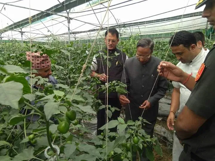 Sikkim Farmer