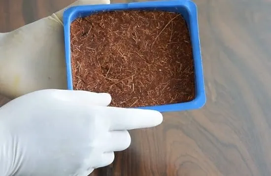 How To Make Cocopeat