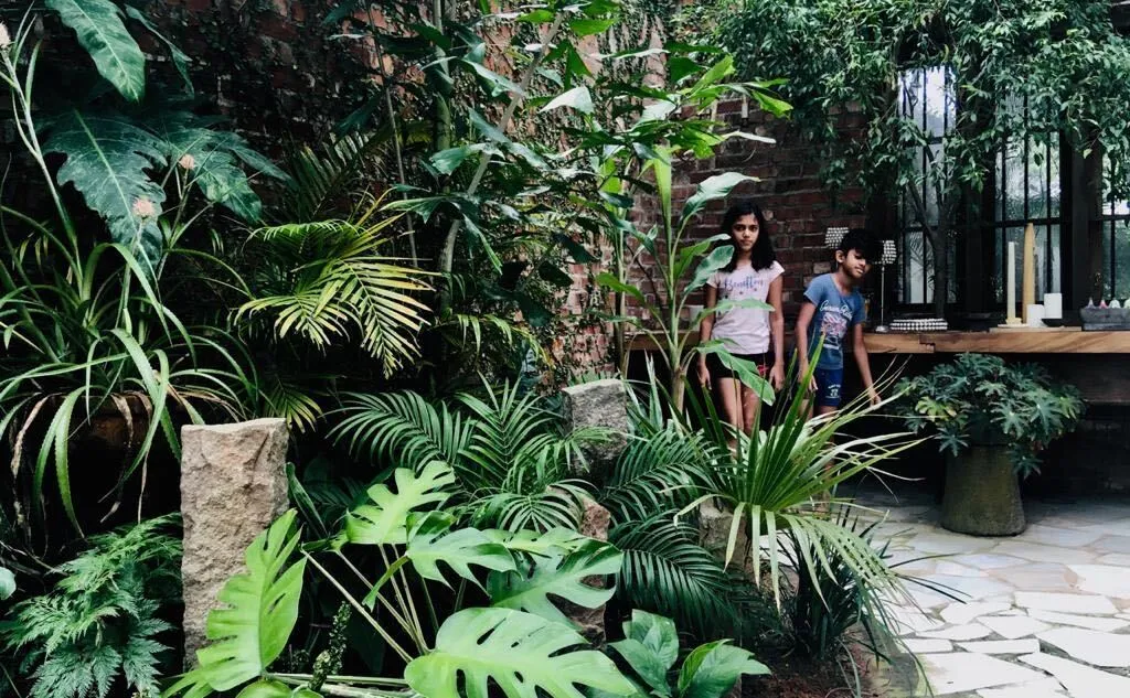 kerala sustainable home