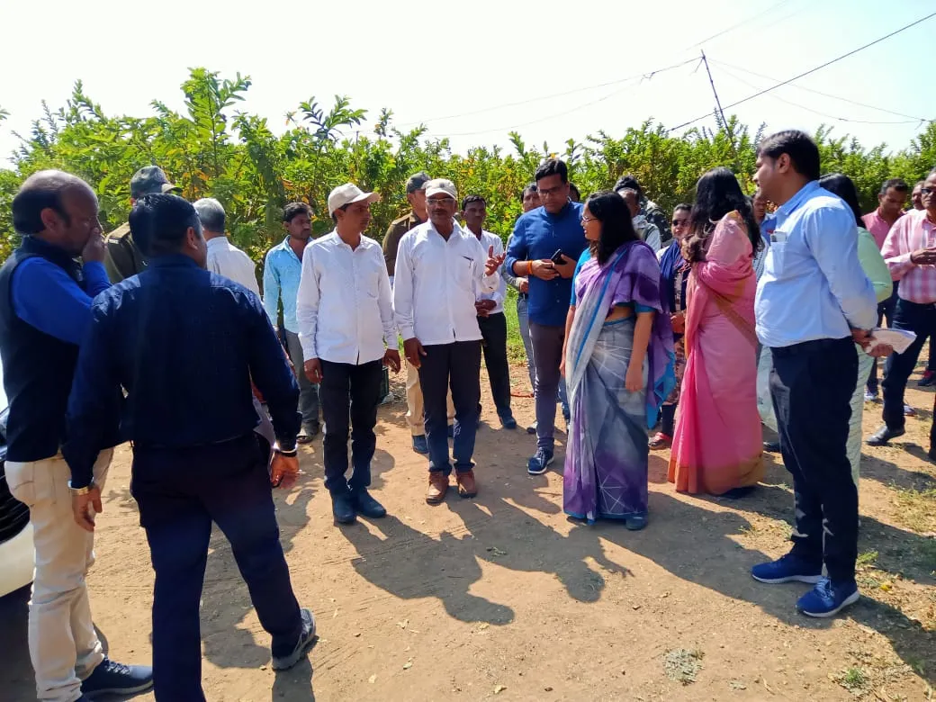 Mp farmer Arbi farming