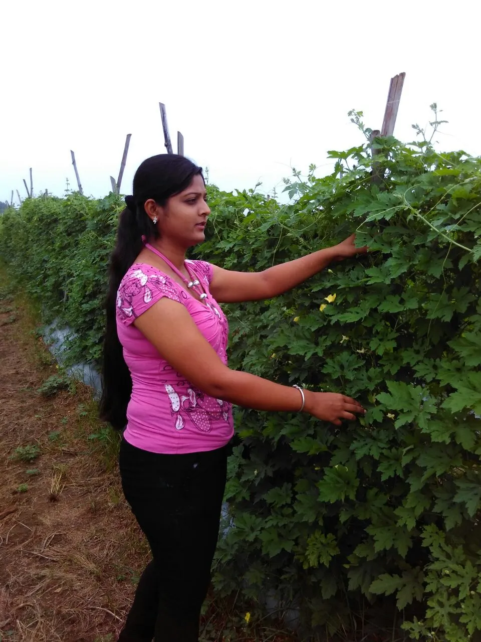 assistant professor farmer