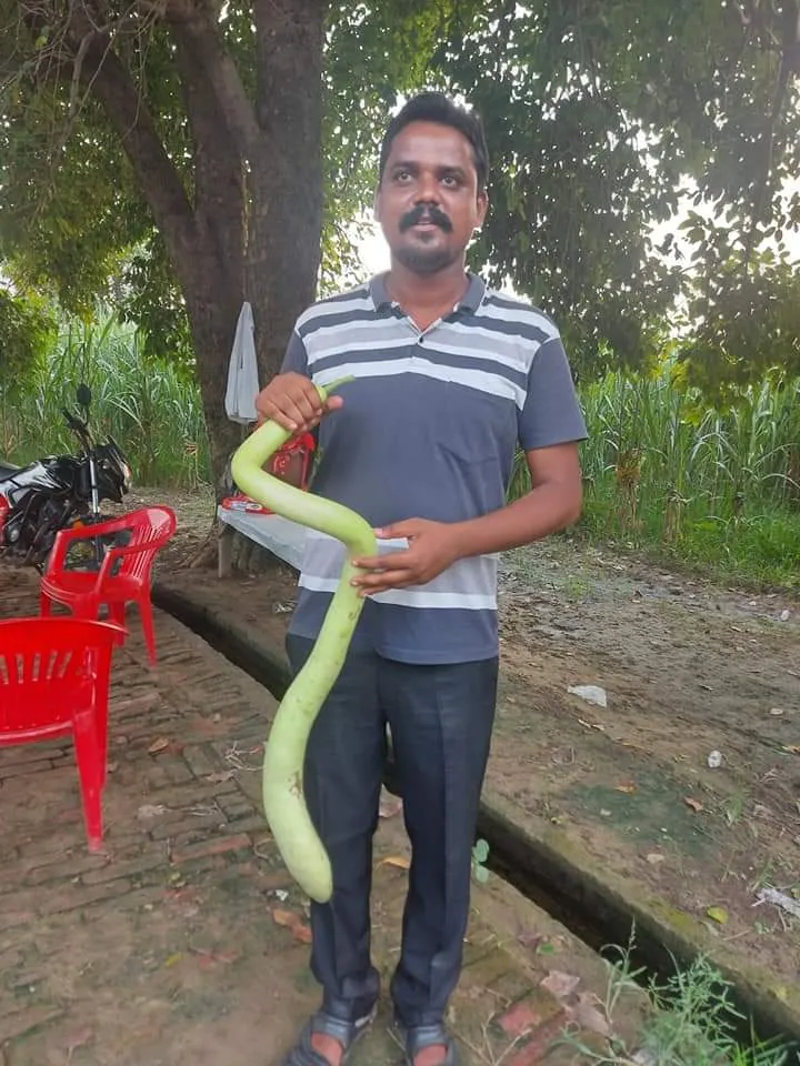 zero budget farming