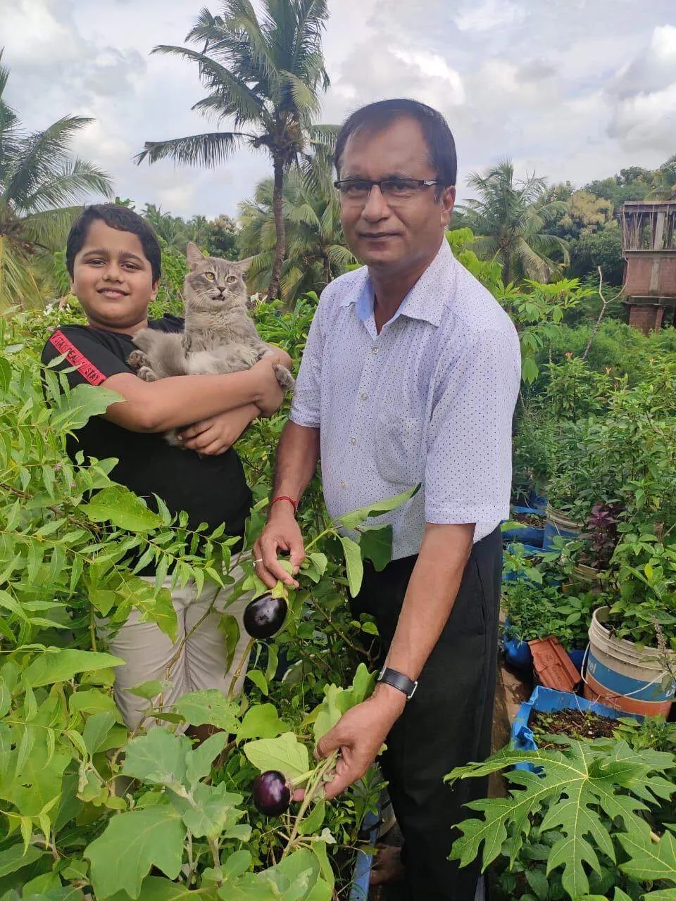 Goa Terrace garden