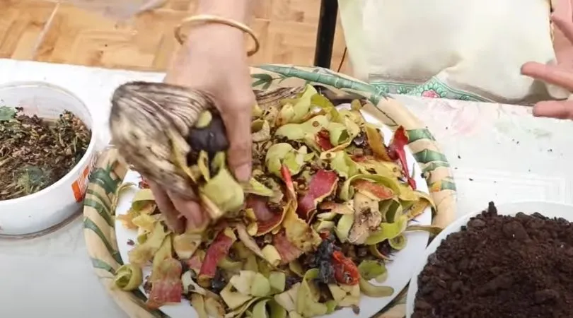 How to Make Compost