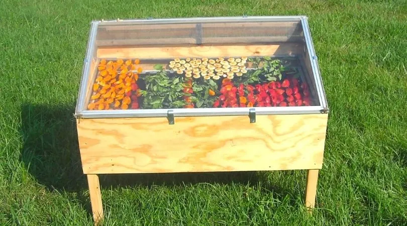 DIY Solar Dryer