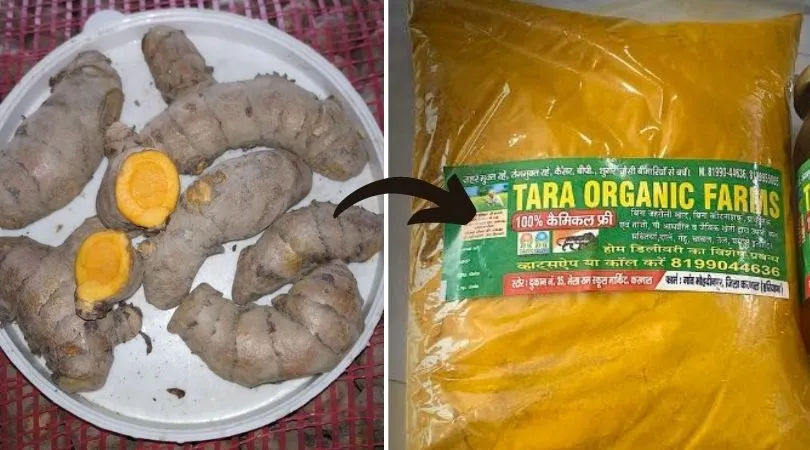Haryana Organic Farmer