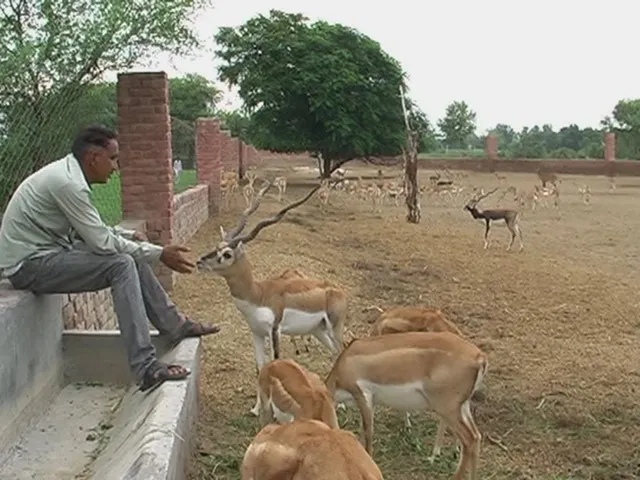 wildlife reserve