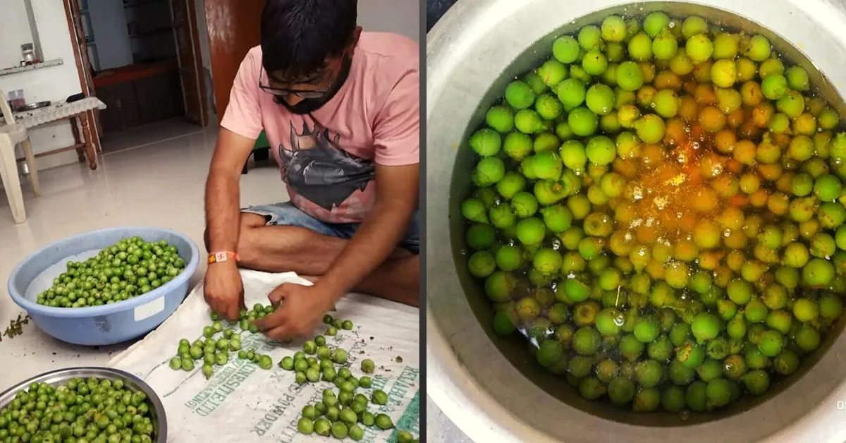 lemon farming