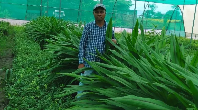 Maharashtra Farmer Dhananjay Raut