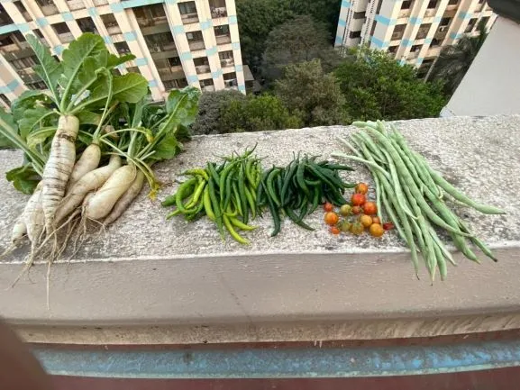 thane society