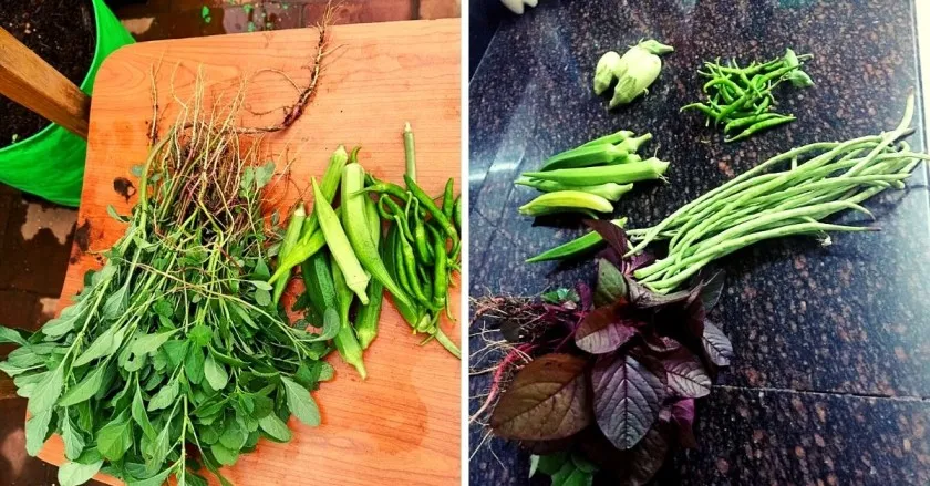 Trichy woman organic veggeis
