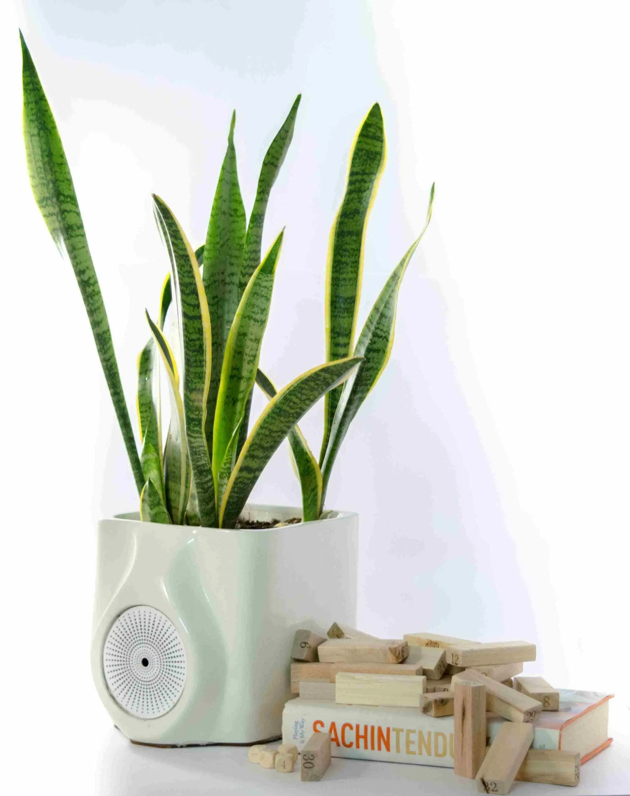 Smart Plant Air Purifier