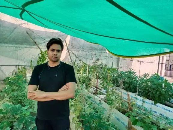 Tips To Grow Methi