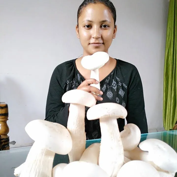mushroom farming