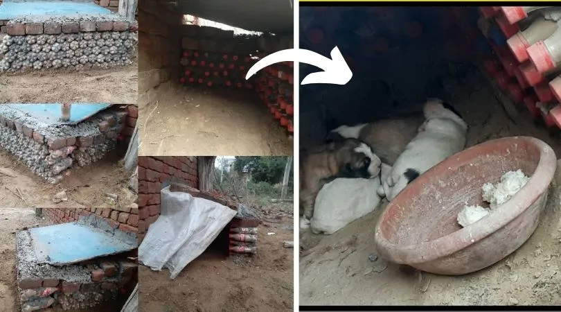 Haryana Engineer Making Eco-bricks