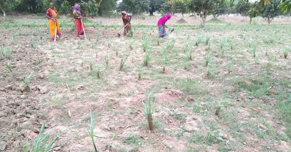Bihar Startup