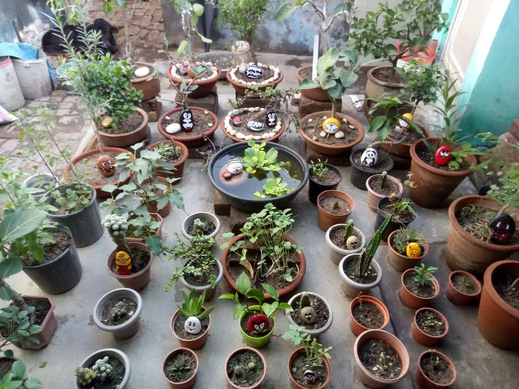 gardening tips