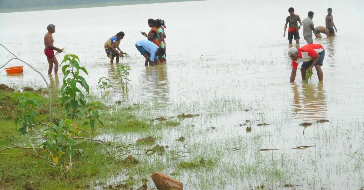 fish farming