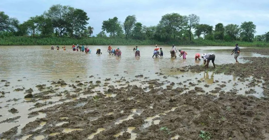 fish farming