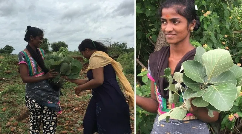 Eco-Friendly Leaf Plates