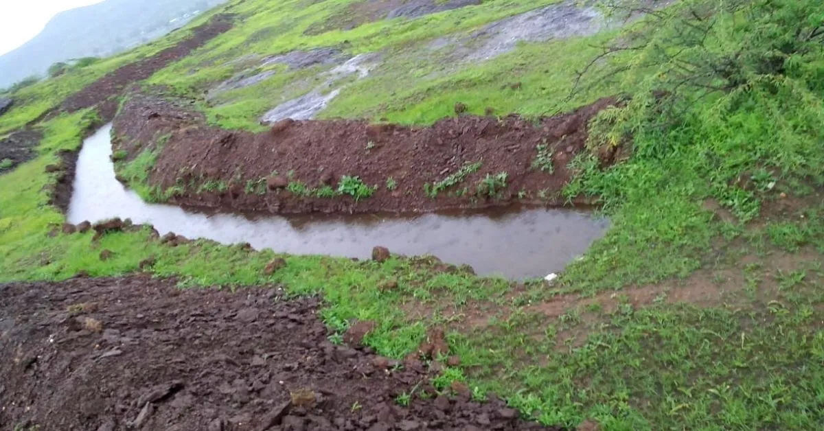 rain water harvest
