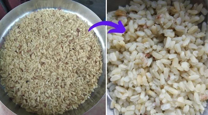 Magic Rice Farming 
