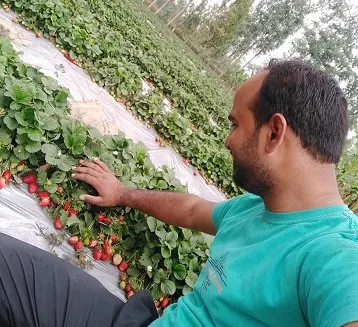 uttar pradesh farmer success story