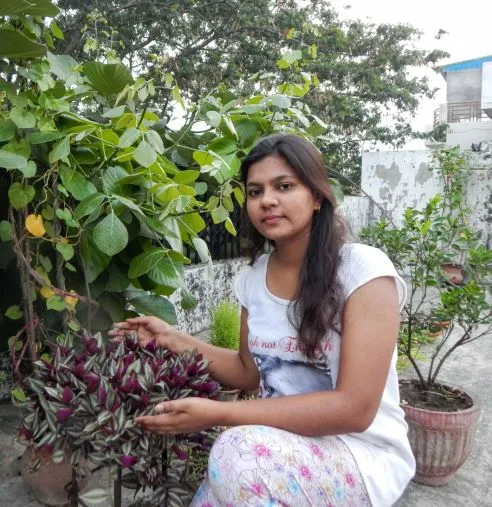 How To Grow Giloy 