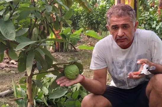 Natural Farming