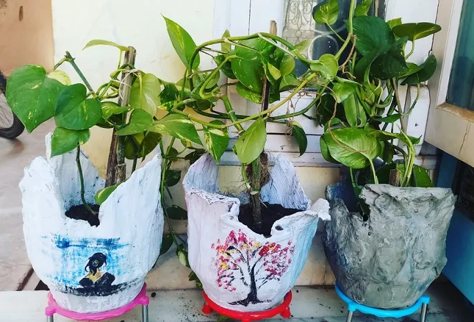 Terrace Gardening Tips