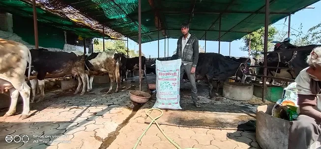 Animal Food Business