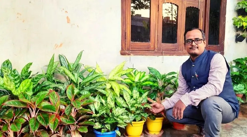 Growing Fruits On Terrace