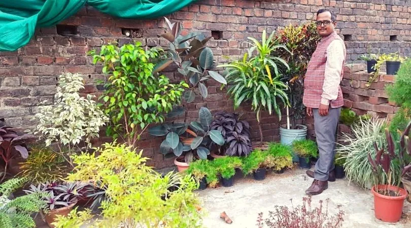 Growing Fruits On Terrace