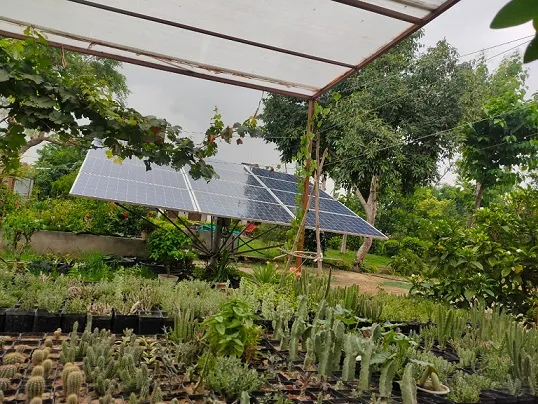 Gardening in UP