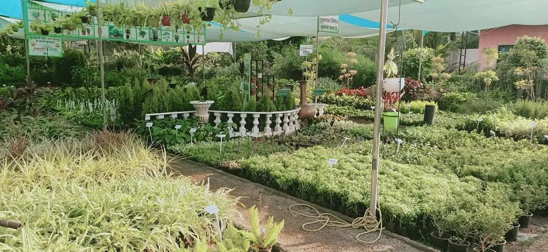 Nursery Business