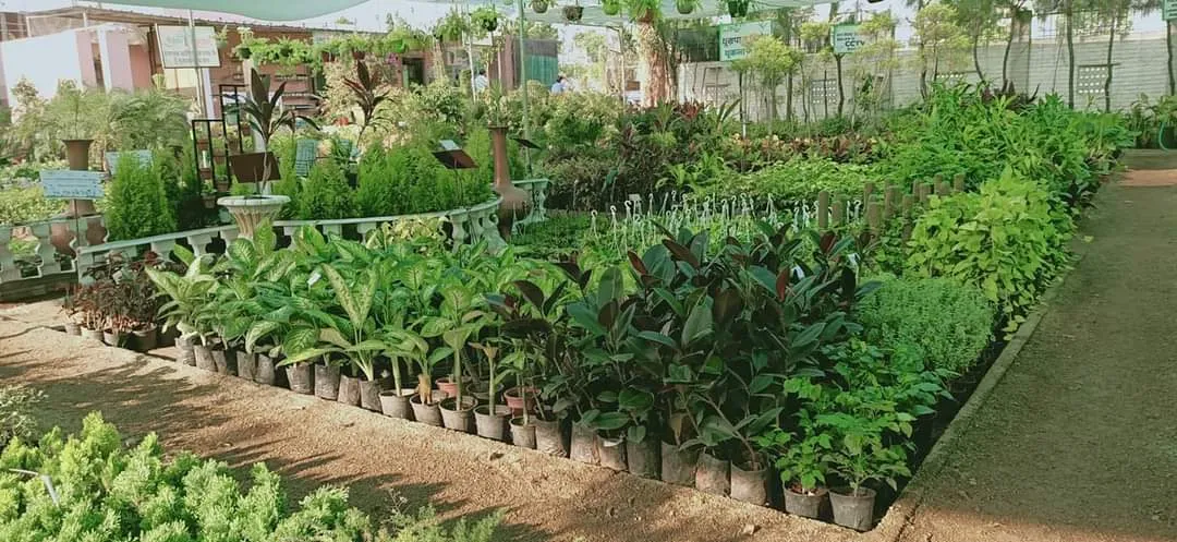 Rajasthan Nursery